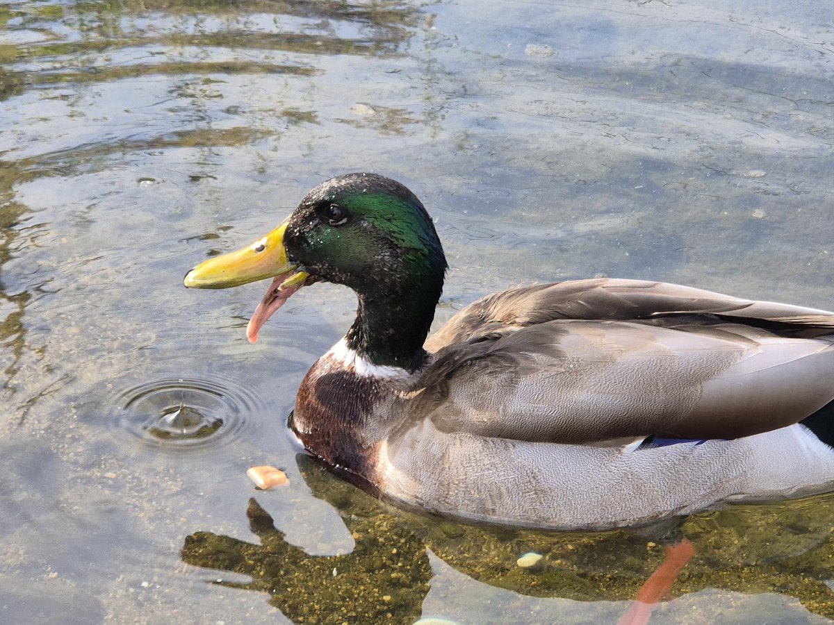 조각조각 tweet media