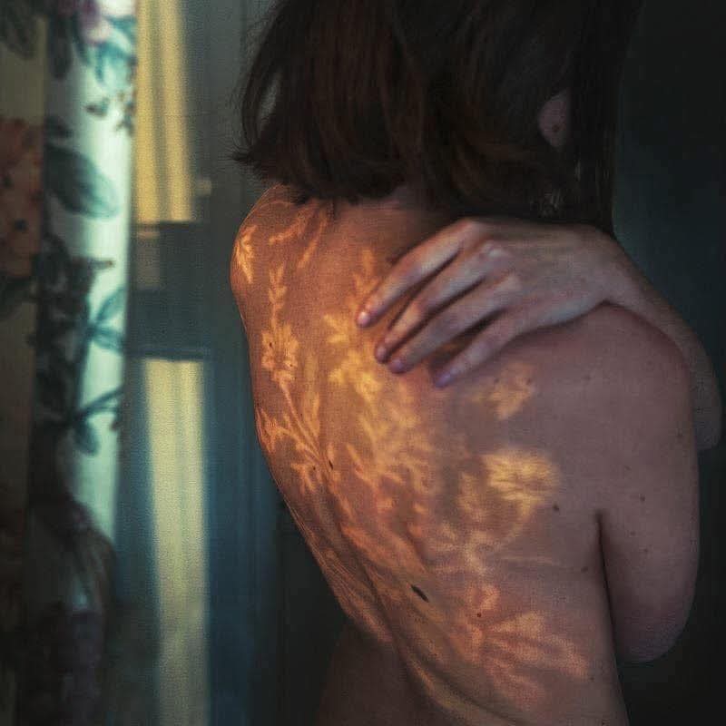 Metropolitan tweet media