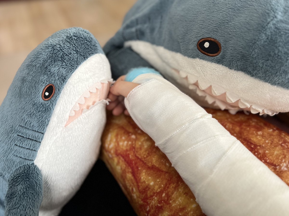 Bluena Shark tweet media