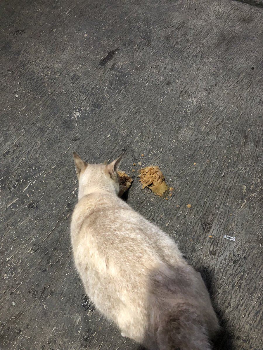 Si Paling Hoki tweet media