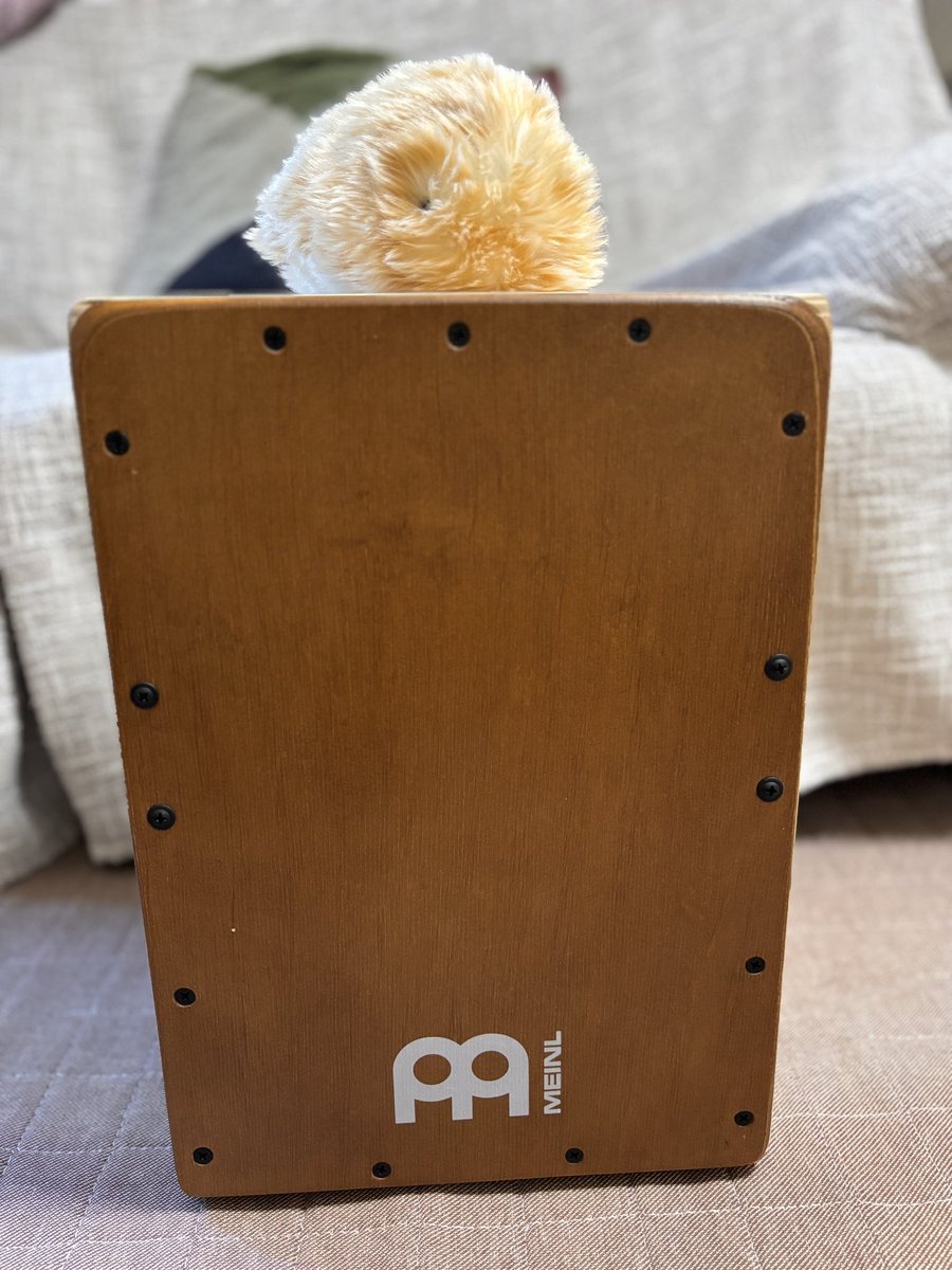 chii✴︎チロル tweet media