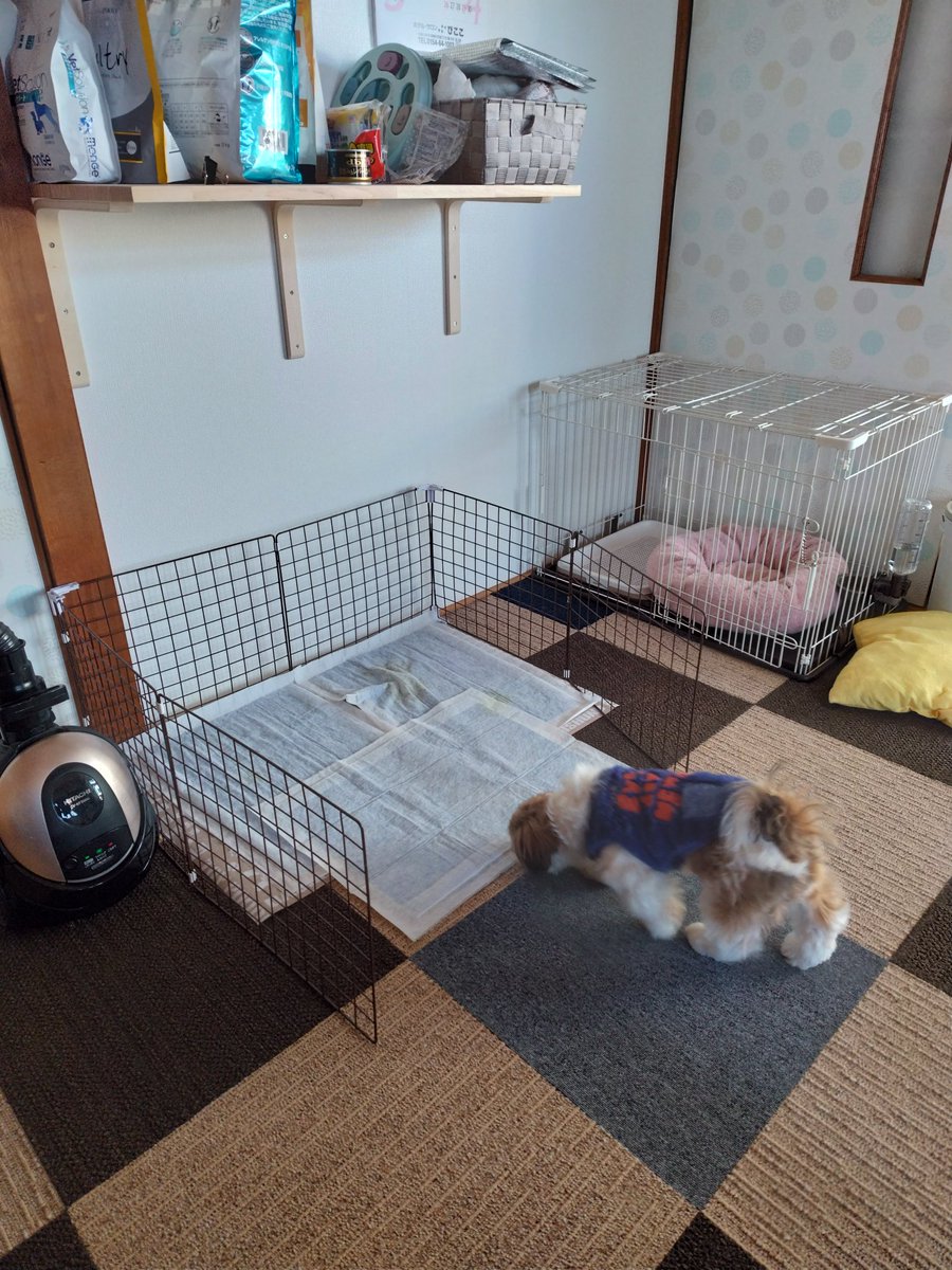 よしひこ👼👊 tweet media