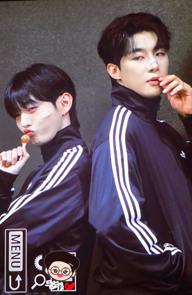 쿠요쿠요(요쿠) tweet media