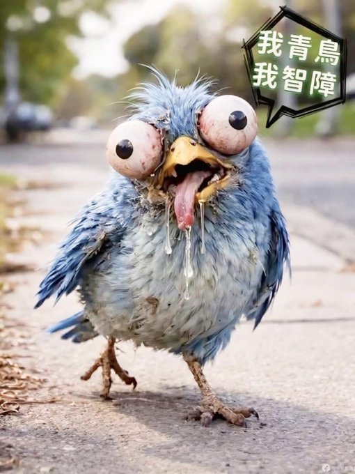 习（日右韩右支黑四全家） tweet media