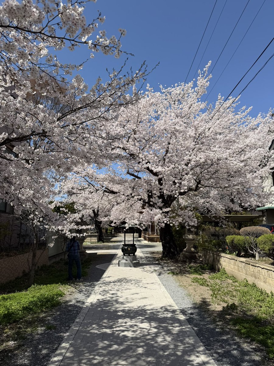 たぬKIKI tweet media