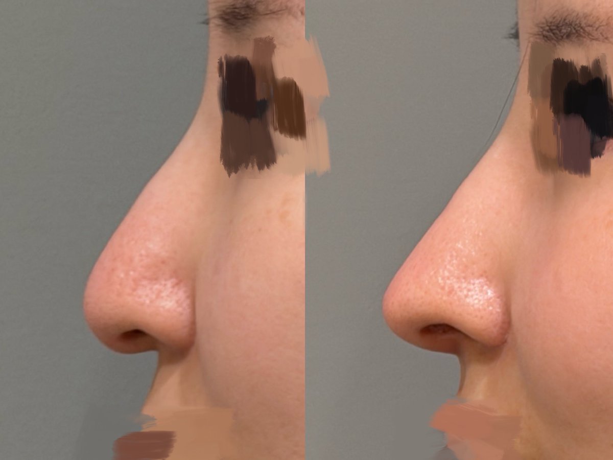 ねコ🐾 tweet media