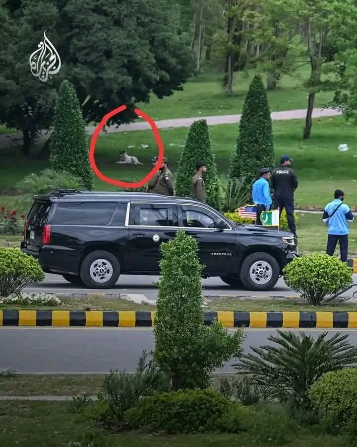 SheR•ALI tweet media