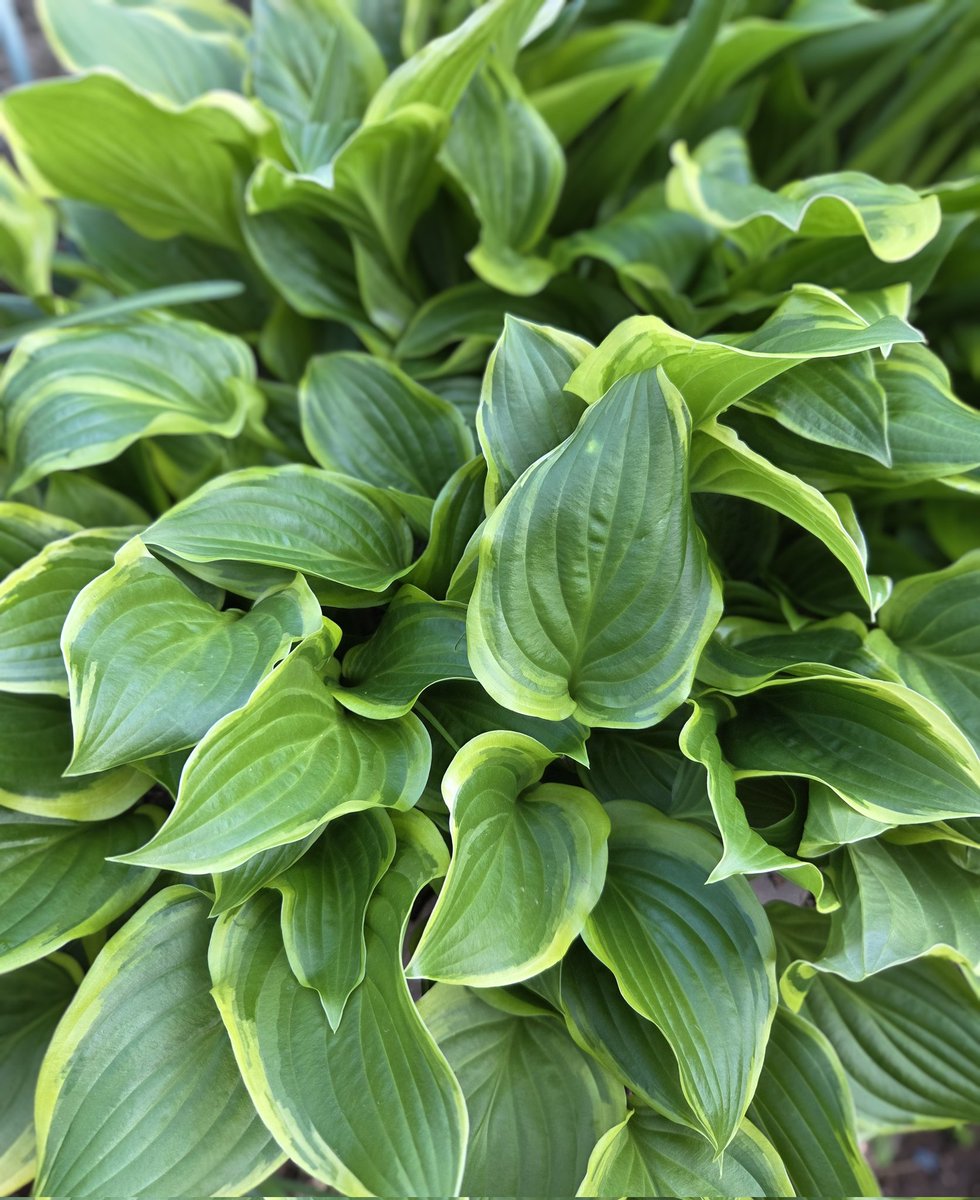 🎀ｾｯﾁｬﾝ🎀 tweet media