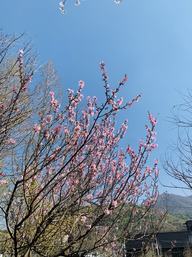 김희숙 tweet media