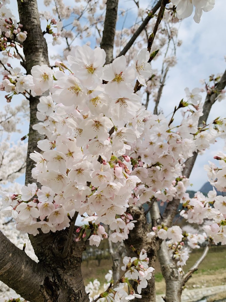 김희숙 tweet media