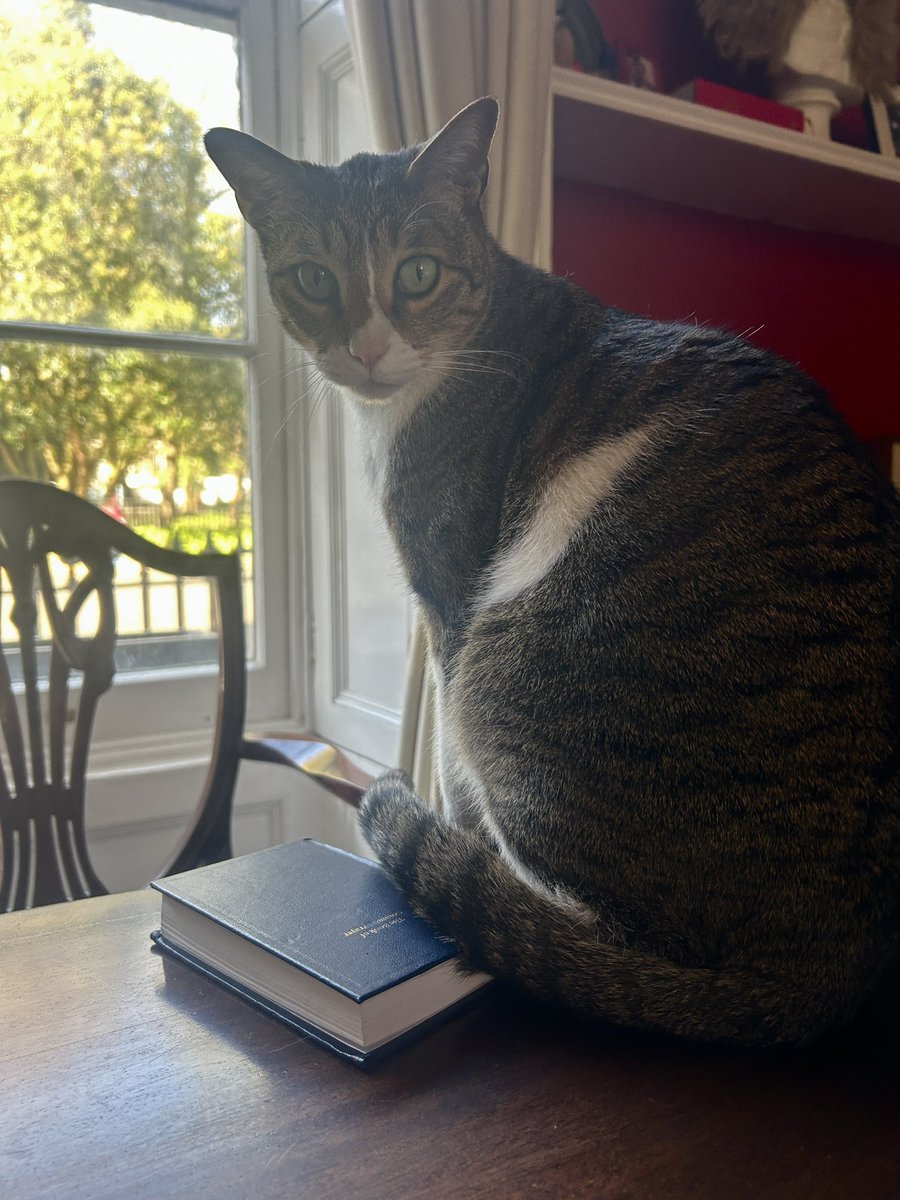 Marcus Walker tweet media