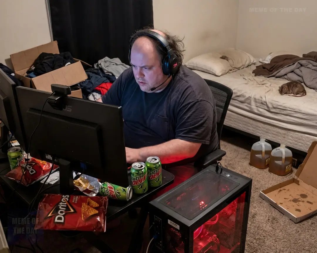 Pissed Off American tweet media