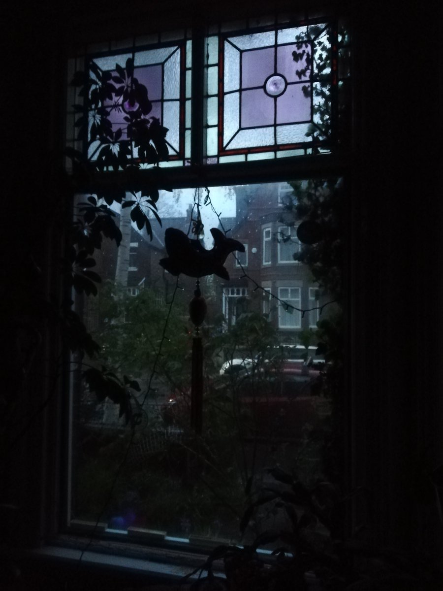 Stereo Surrealist tweet media