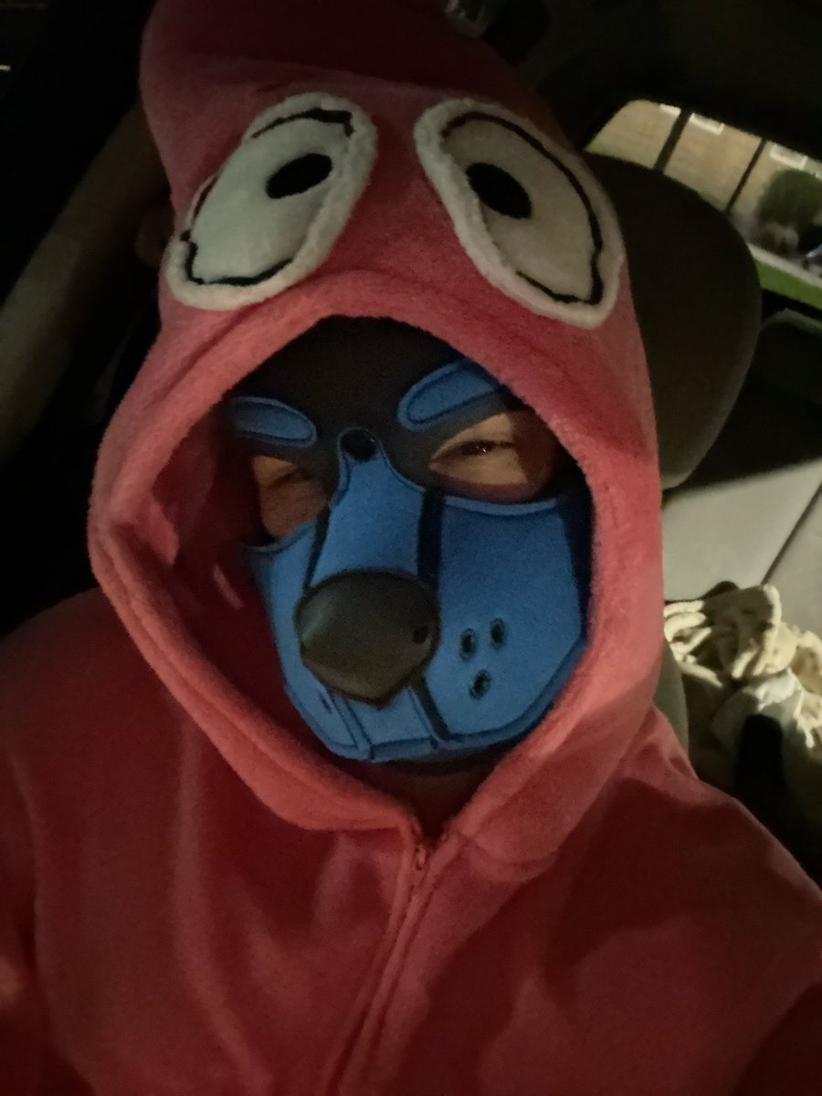 PupApollo_69's tweet photo. Padded Patrick puppy AWOOOO 
#gayabdl #puppyplay #gaypup https://t.co/O9qlOA7FGd