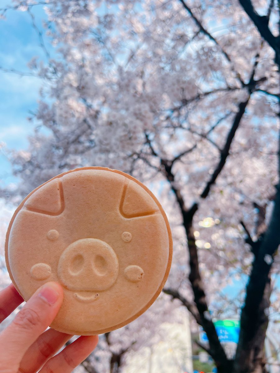 돼지바빵 맛있다❤️🌸