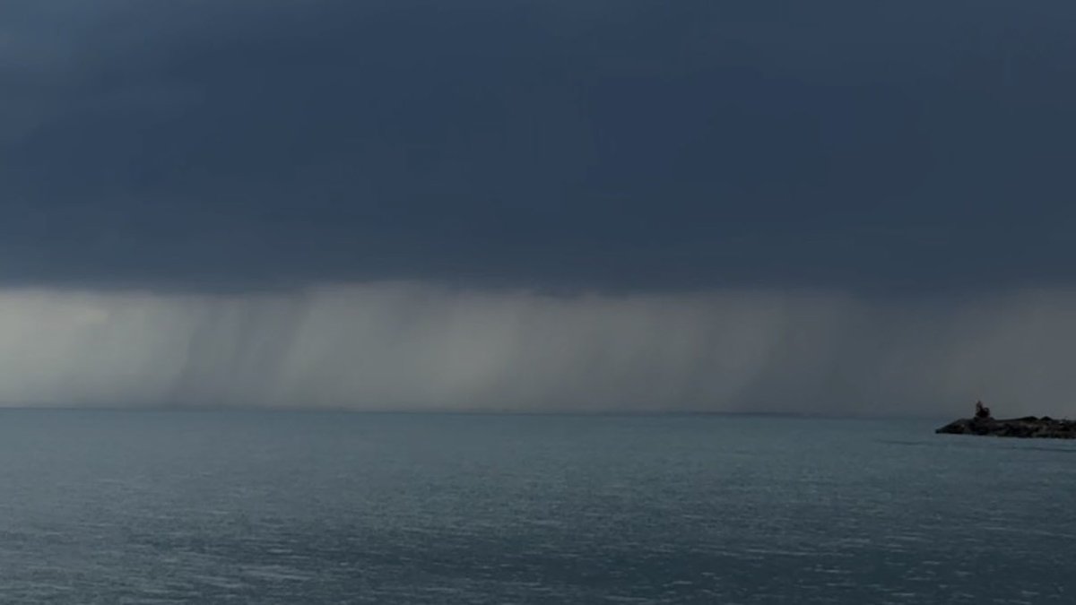 الألف والنون tweet media