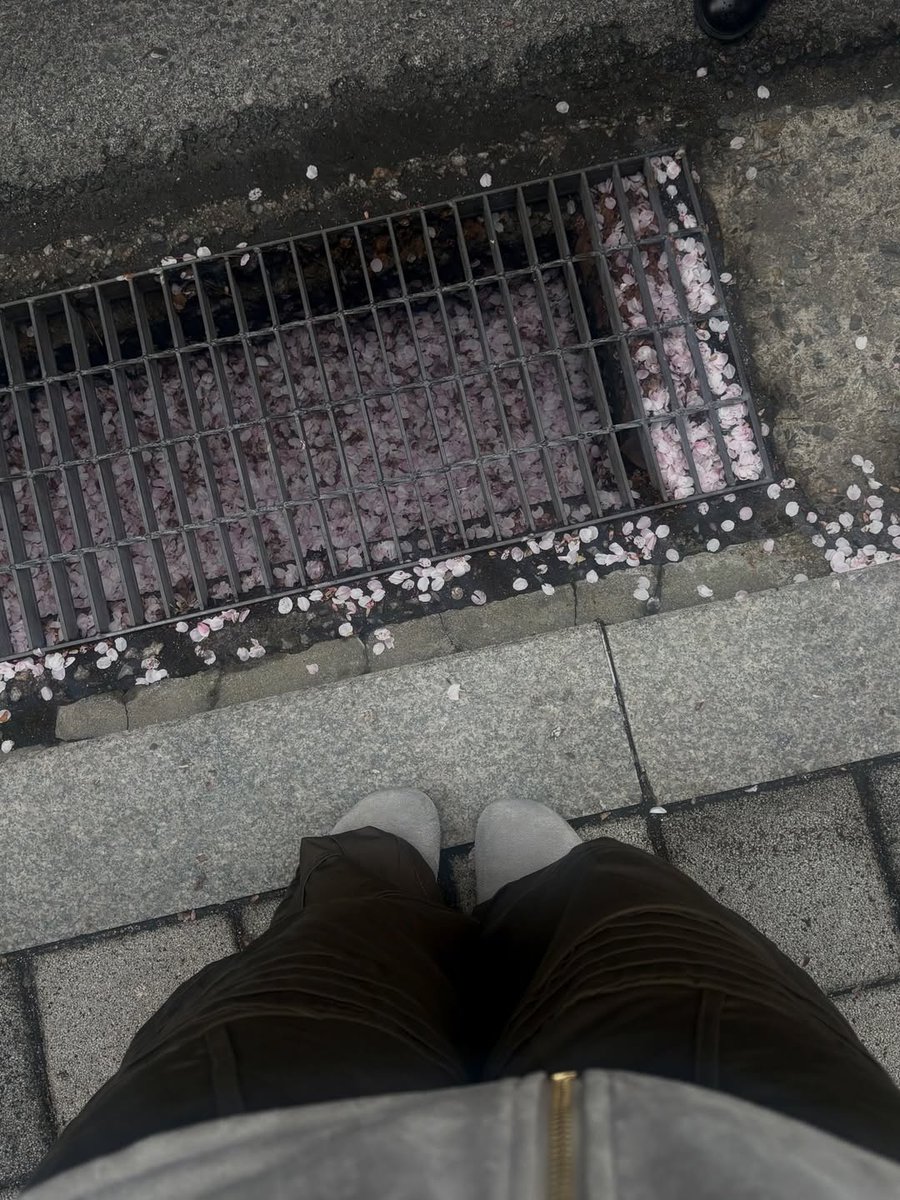 Bonnie's Home tweet media