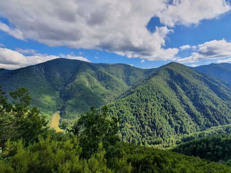 PEDRO CASTAÑO GARCÍA tweet media