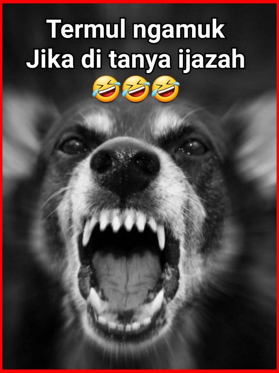 Is -Khan tweet media