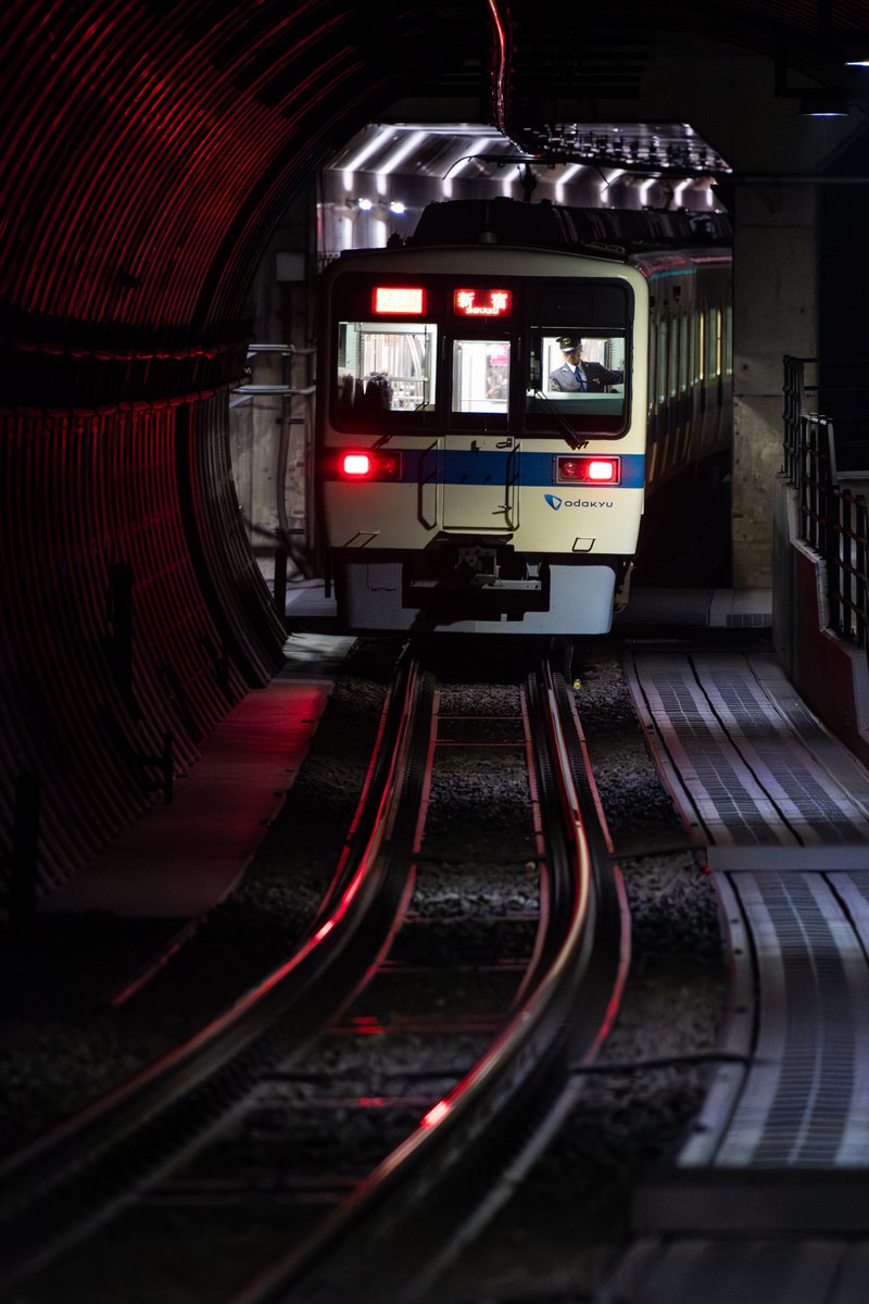 萩薬師 tweet media