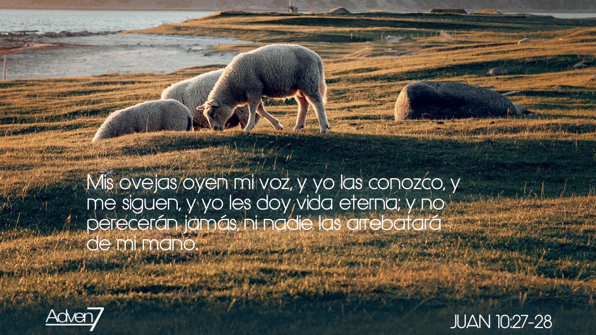 La relación con Cristo se define por oír su voz y seguirle, una comunión viva donde Él conoce íntimamente a los suyos y los guía. Su promesa de vida eterna asegura que quienes están en su mano jamás serán arrebatados.

#FelizSemana #PalabraDeDios