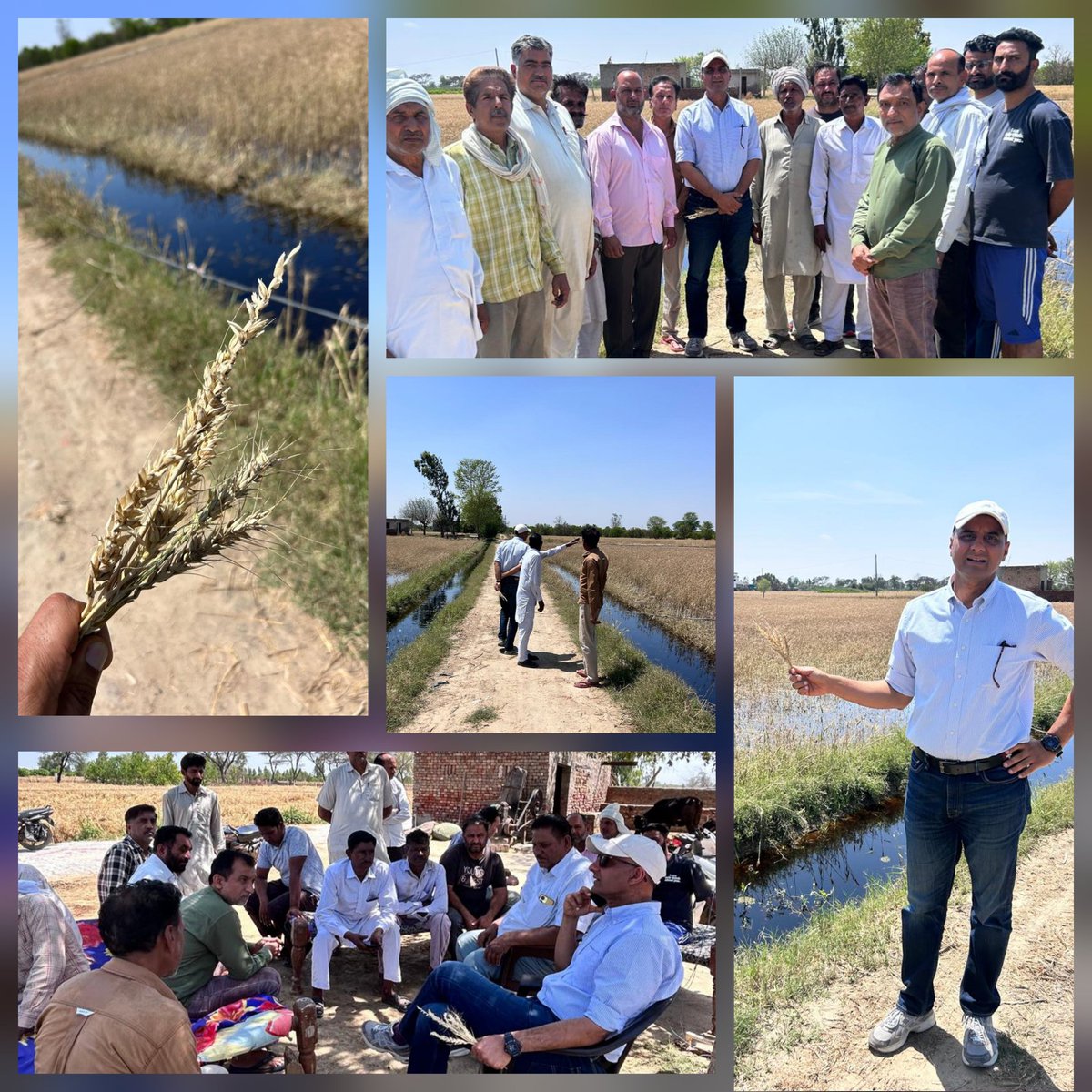 Sandeep Jakhar (ਜਾਖੜ/जाखड़) tweet media