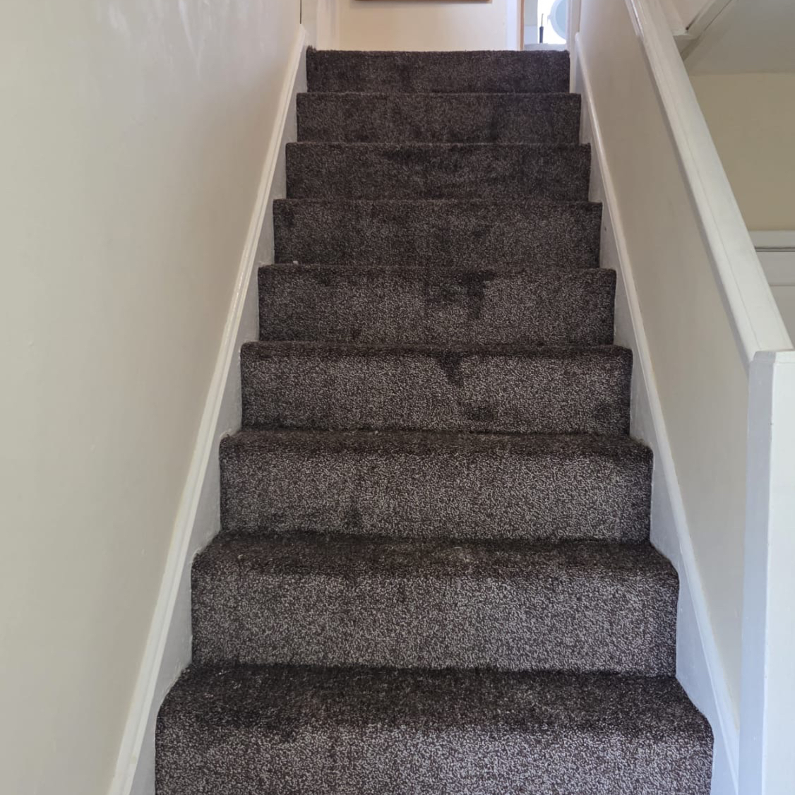 PayFlooringUk's tweet image. 🔥 Check out our most popular carpet! 👀 It instantly warms up your home. 

💥 From just £10/week 
👉 No upfront payment 
👉 No credit checks 
👉 0% interest 

📲 DM us to book! 📞 01206 692360 🌐 payweeklyflooring.co.uk/?c= #HomeDecor #Carpet #InteriorDesign