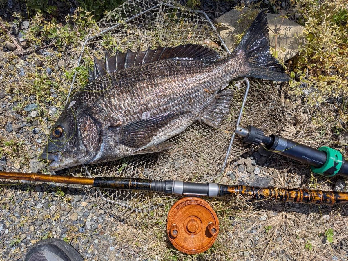 目印のKen tweet media