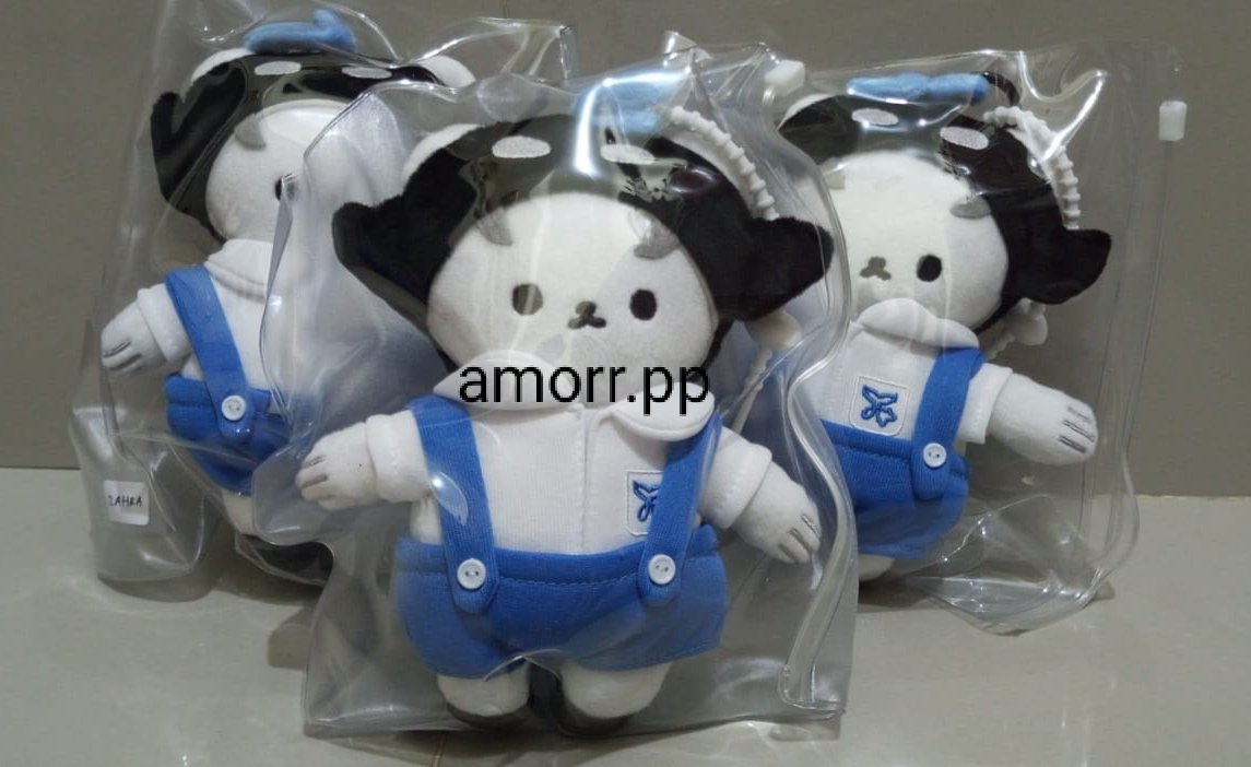 AMORR.PP tweet media