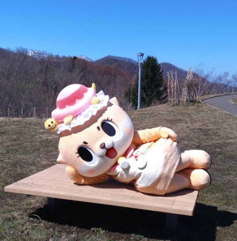 今日もミルクでお腹いっぱい🍼

ポカポカ天気☀️で眠くなっちゃったかな⁉️🤭