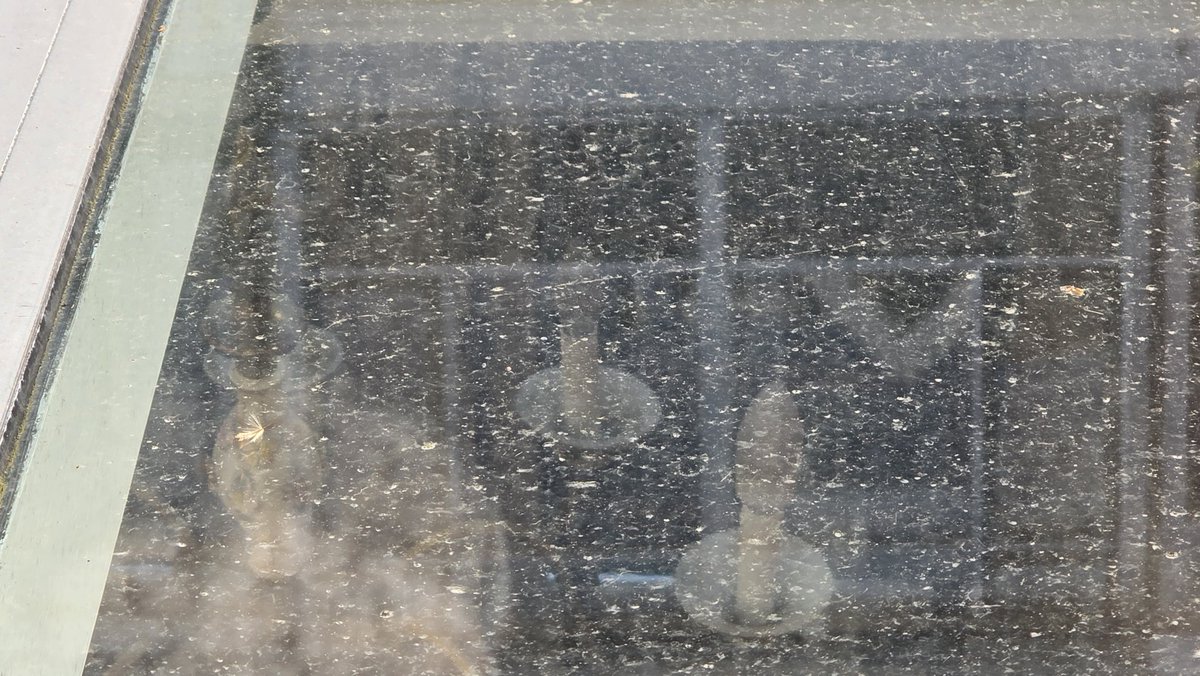 Dokajunk 📷🗑 tweet media