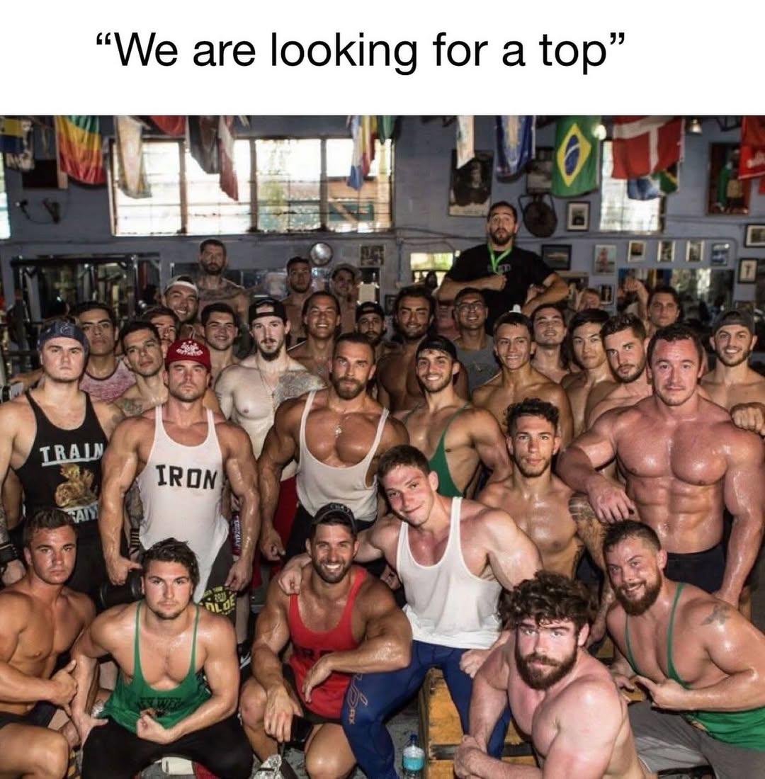 The Gay Edit ☆ tweet media