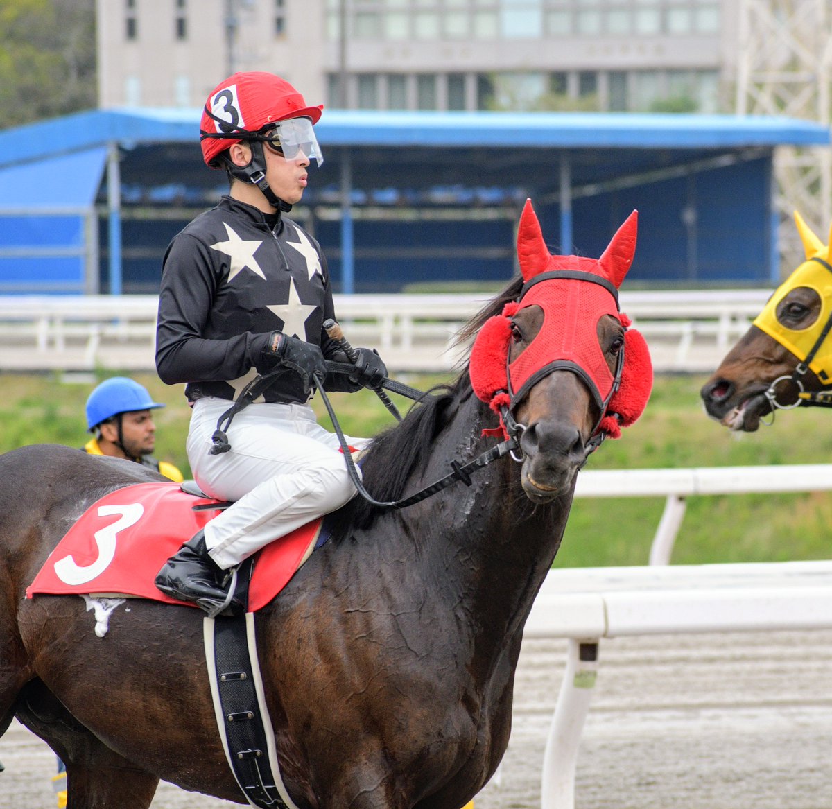 キリン tweet media