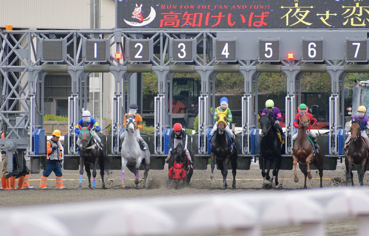 キリン tweet media