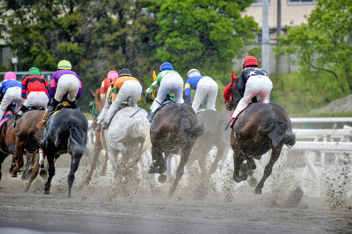 キリン tweet media