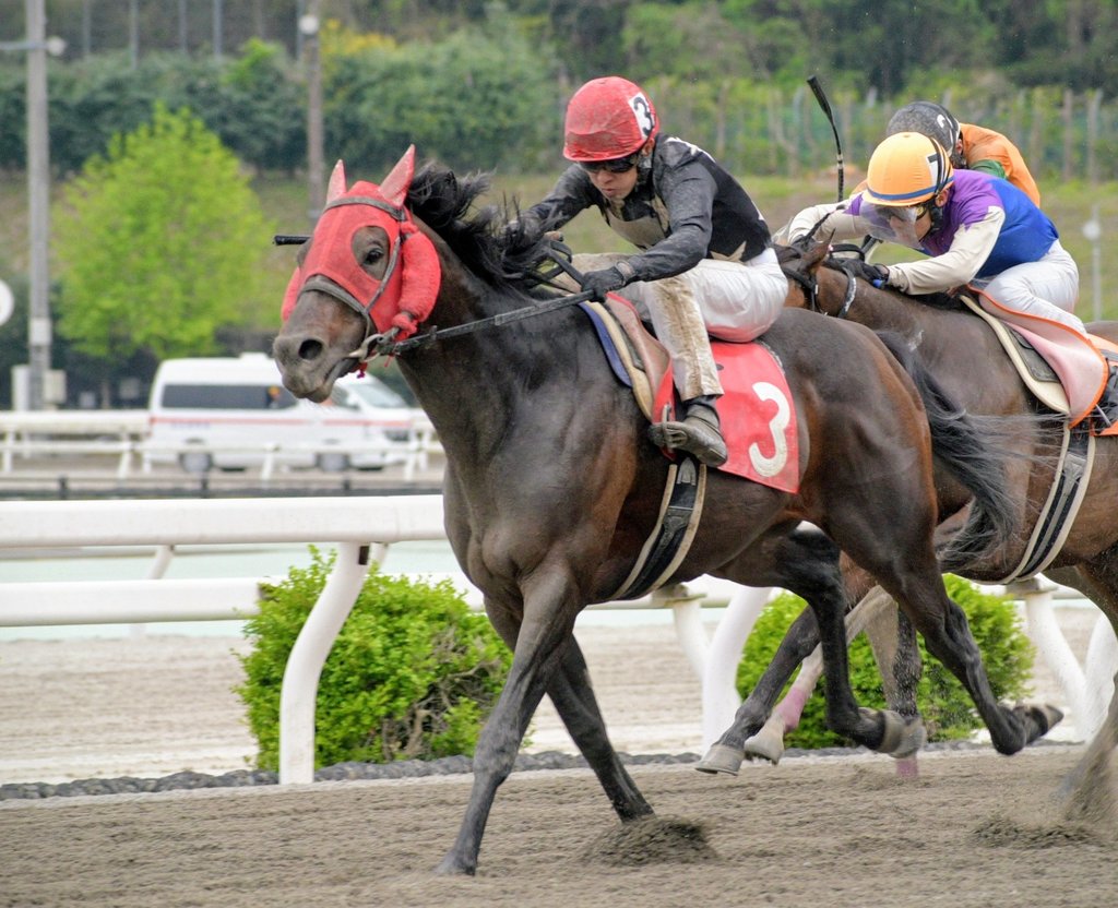 キリン tweet media