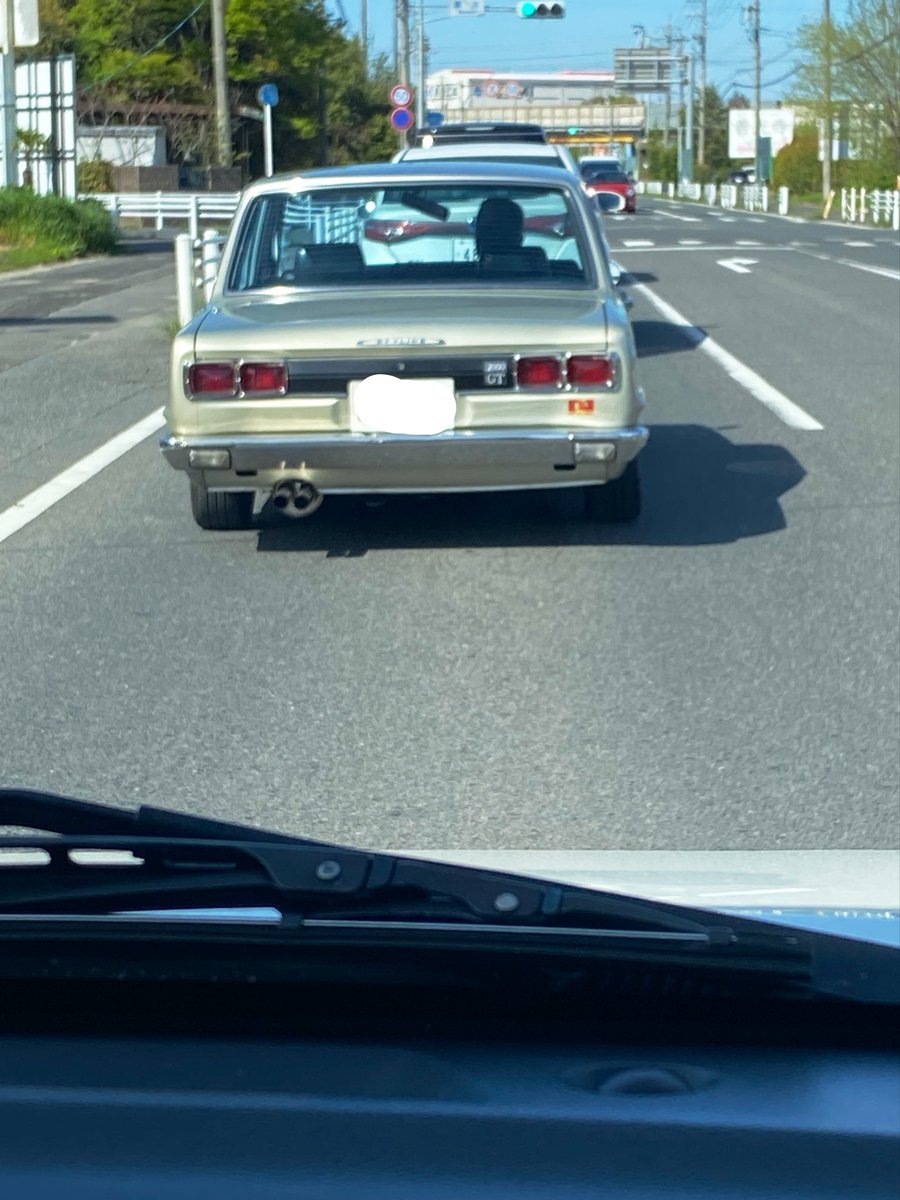 サッシー🎶🐈056 tweet media