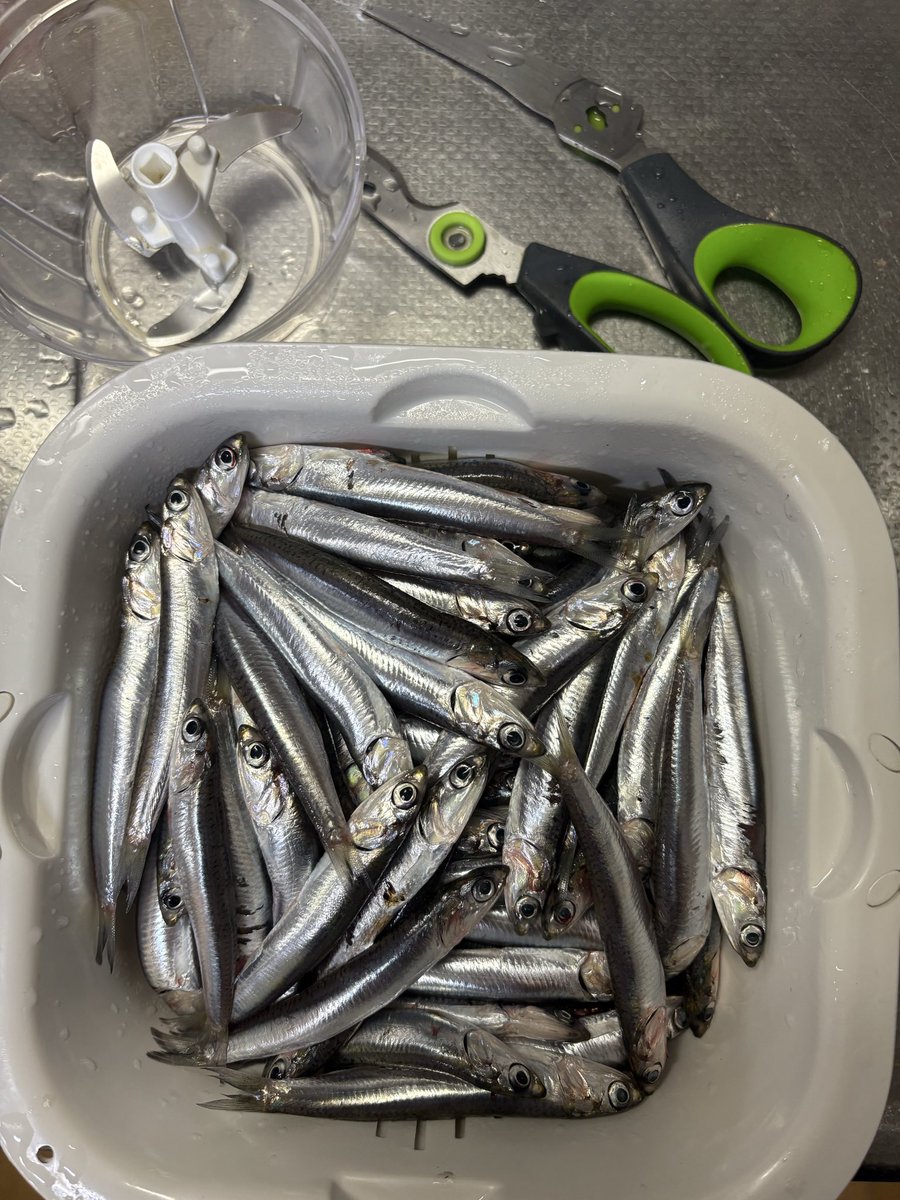 姫月心愛 tweet media