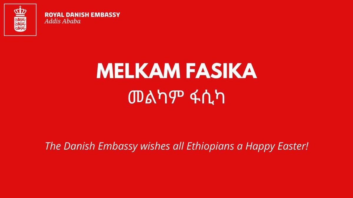 Denmark in Addis tweet media