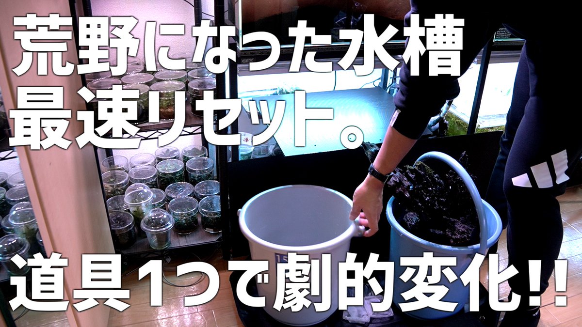 たそがれアクア tweet media