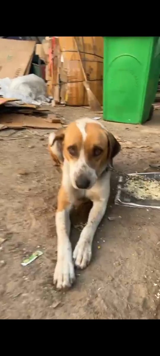 tonia sodhi kumar tweet media