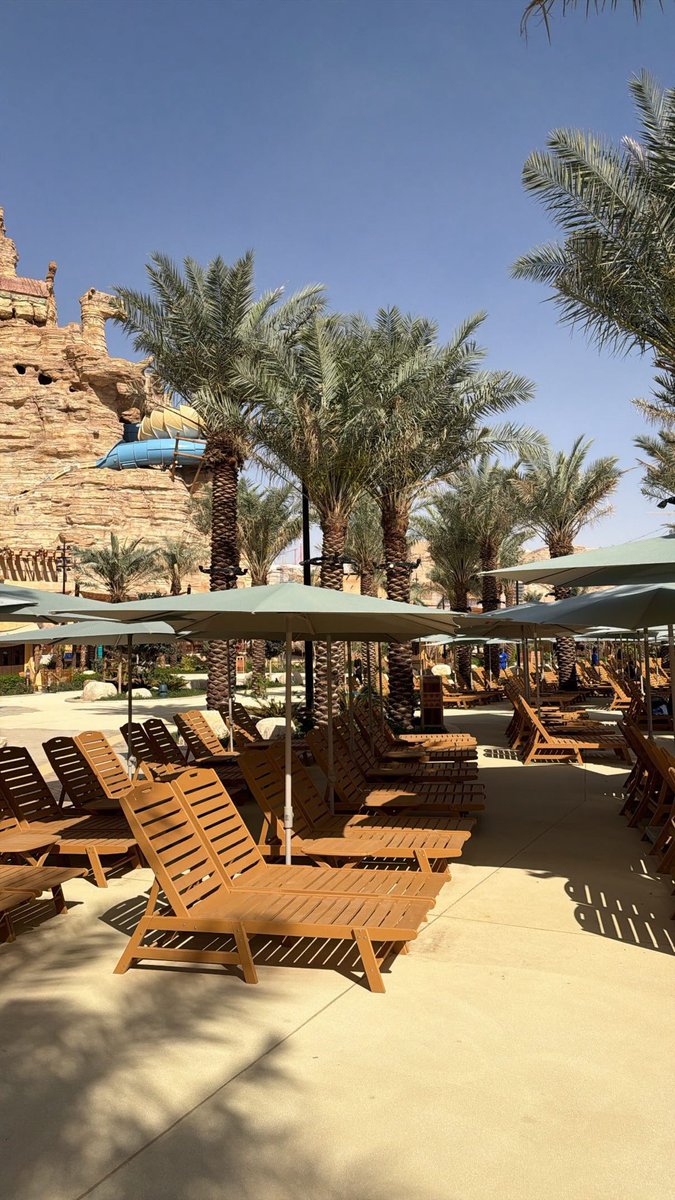 Mohammed tweet media