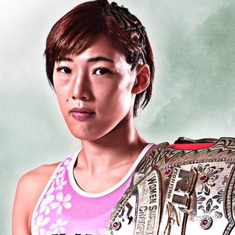 ファイトメモリー | Fight Memory tweet media