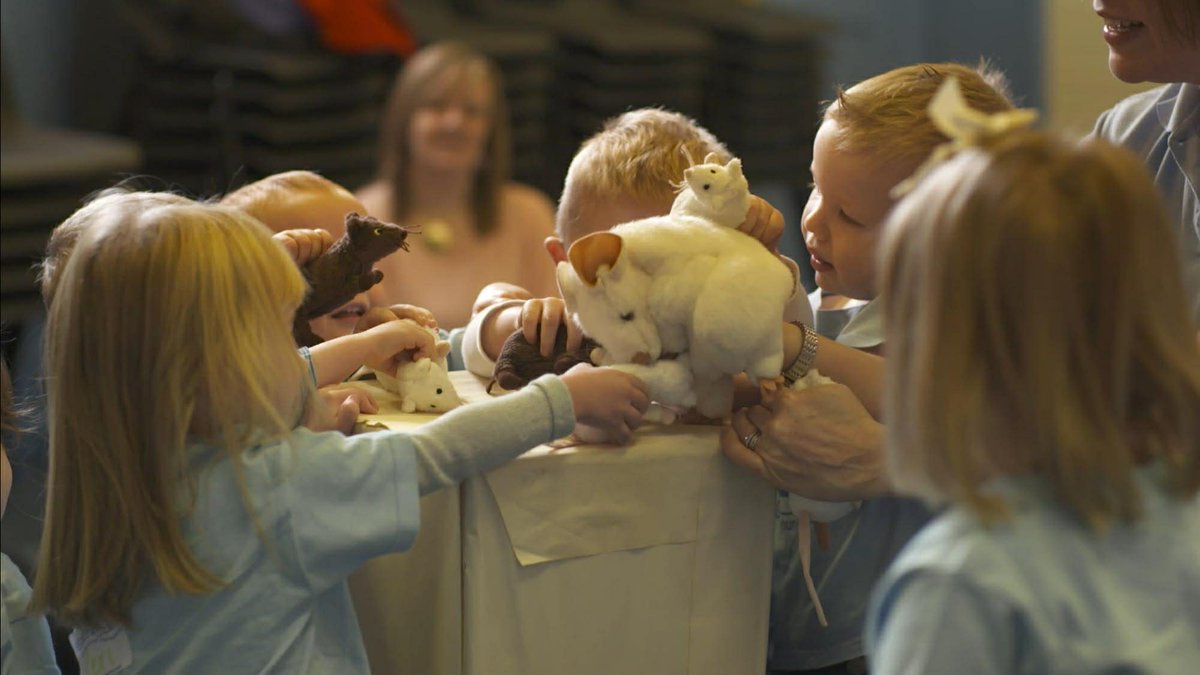 JabberjackDerby's tweet image. In our classes we love to see everyone learning how to share! Here’s one of our sharing time toys that we have been enjoying together #sharingtime #learningthroughplay