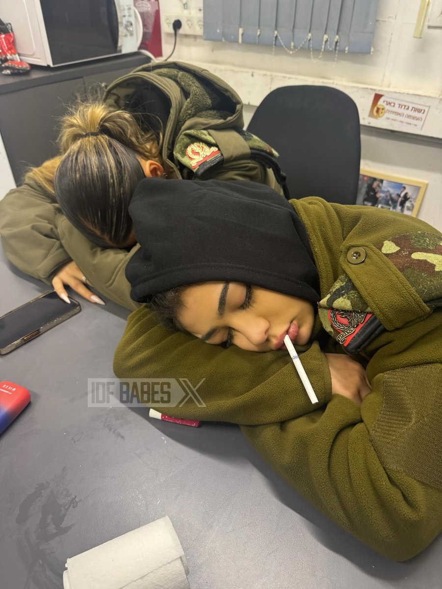 IDF Babes 🇮🇱 tweet media