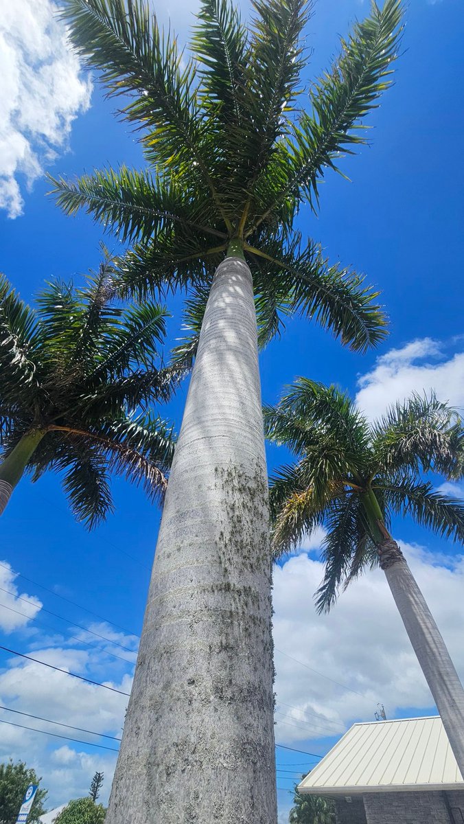 briankjohnson1's tweet image. Happy Sunday, everyone! Hope you're all having a relaxing start to your day. I'm definitely enjoying some quiet time with my coffee this morning. ☕️  #SundayVibes #WeekendMood #Relaxation