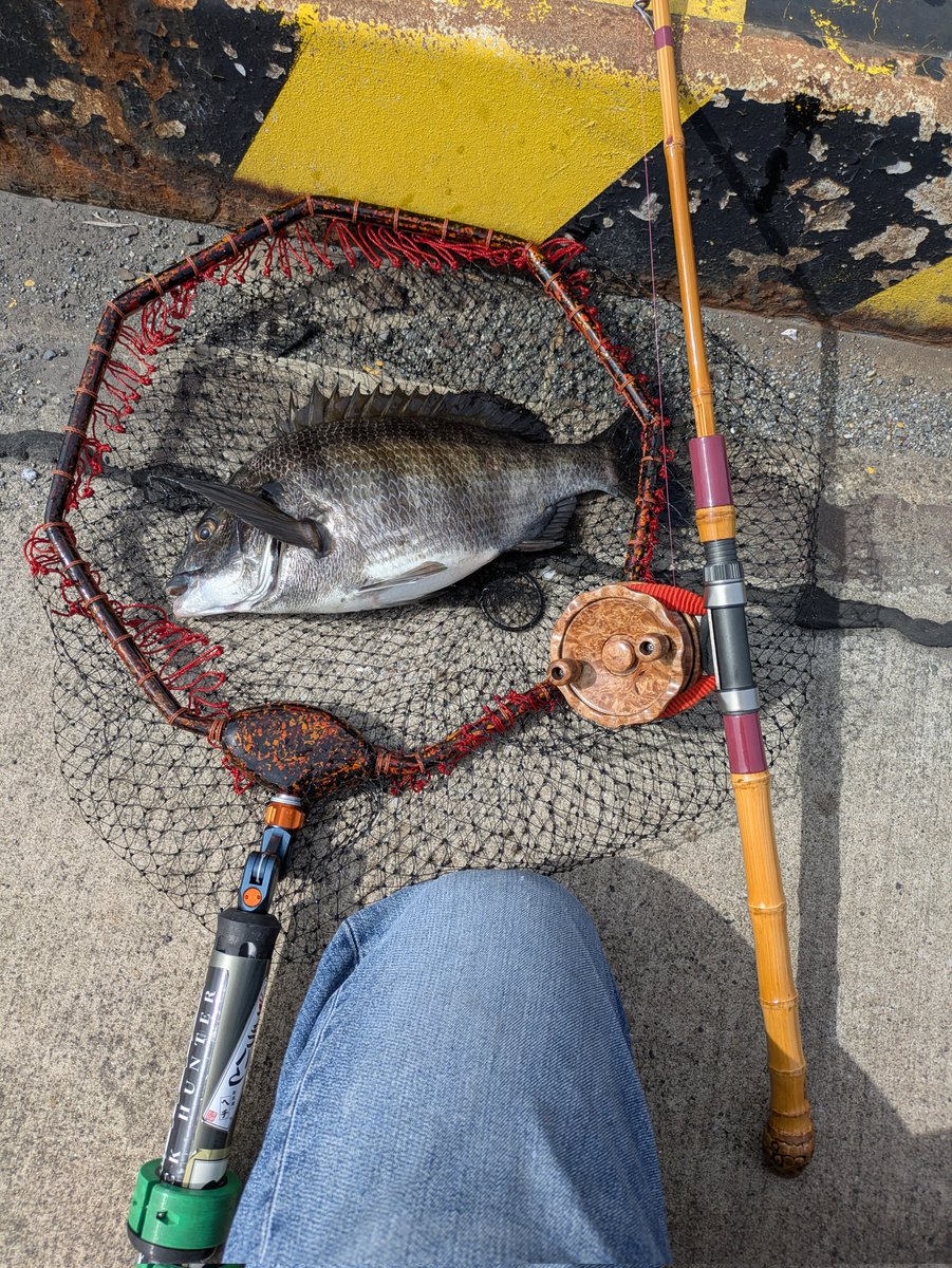 安藤誠 tweet media