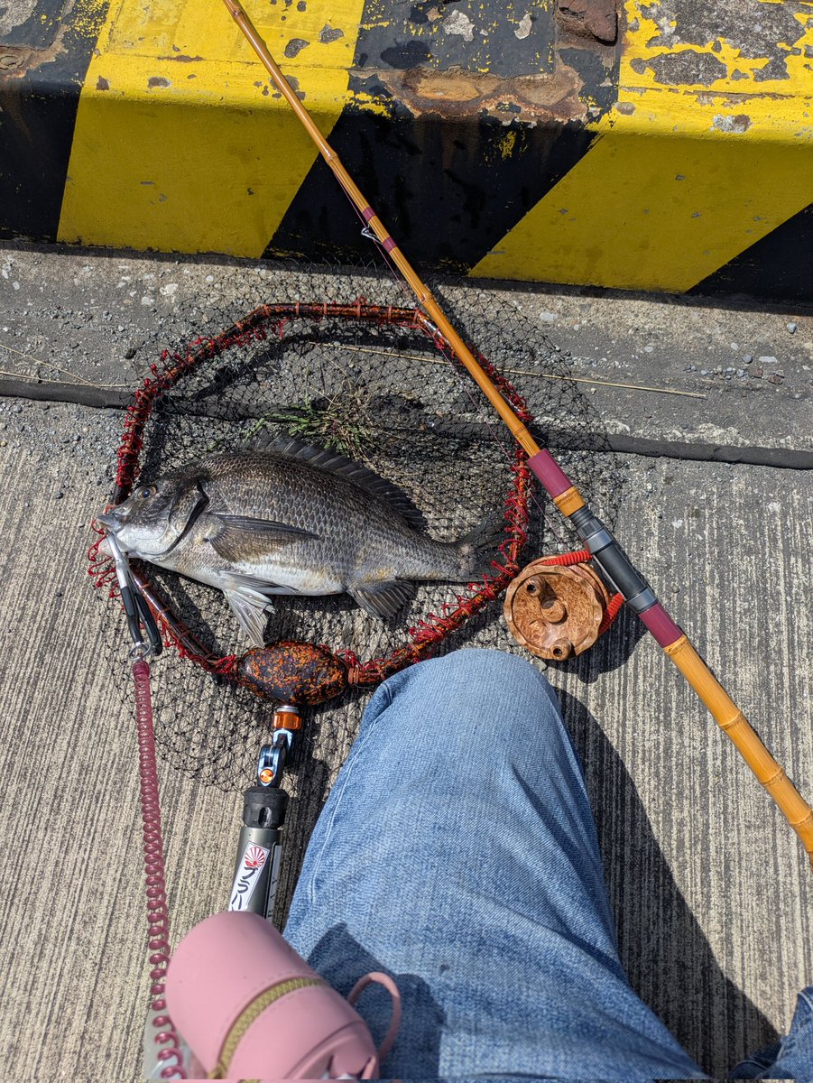 安藤誠 tweet media