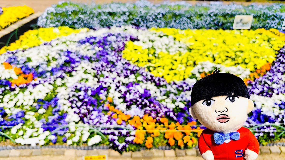 新・ハハみさえ tweet media