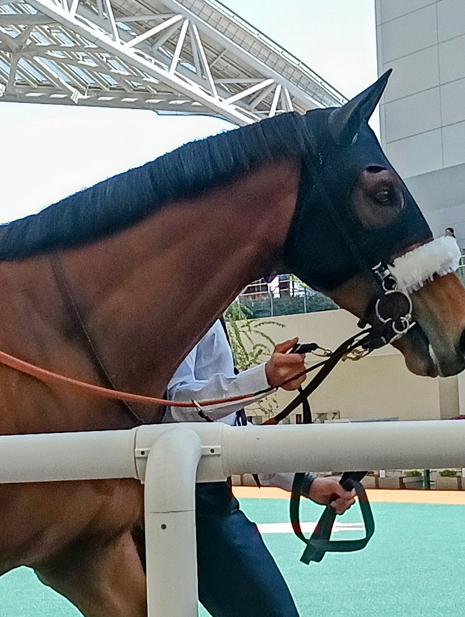 神戸の金庫屋4代目バカ息子のブログ tweet media